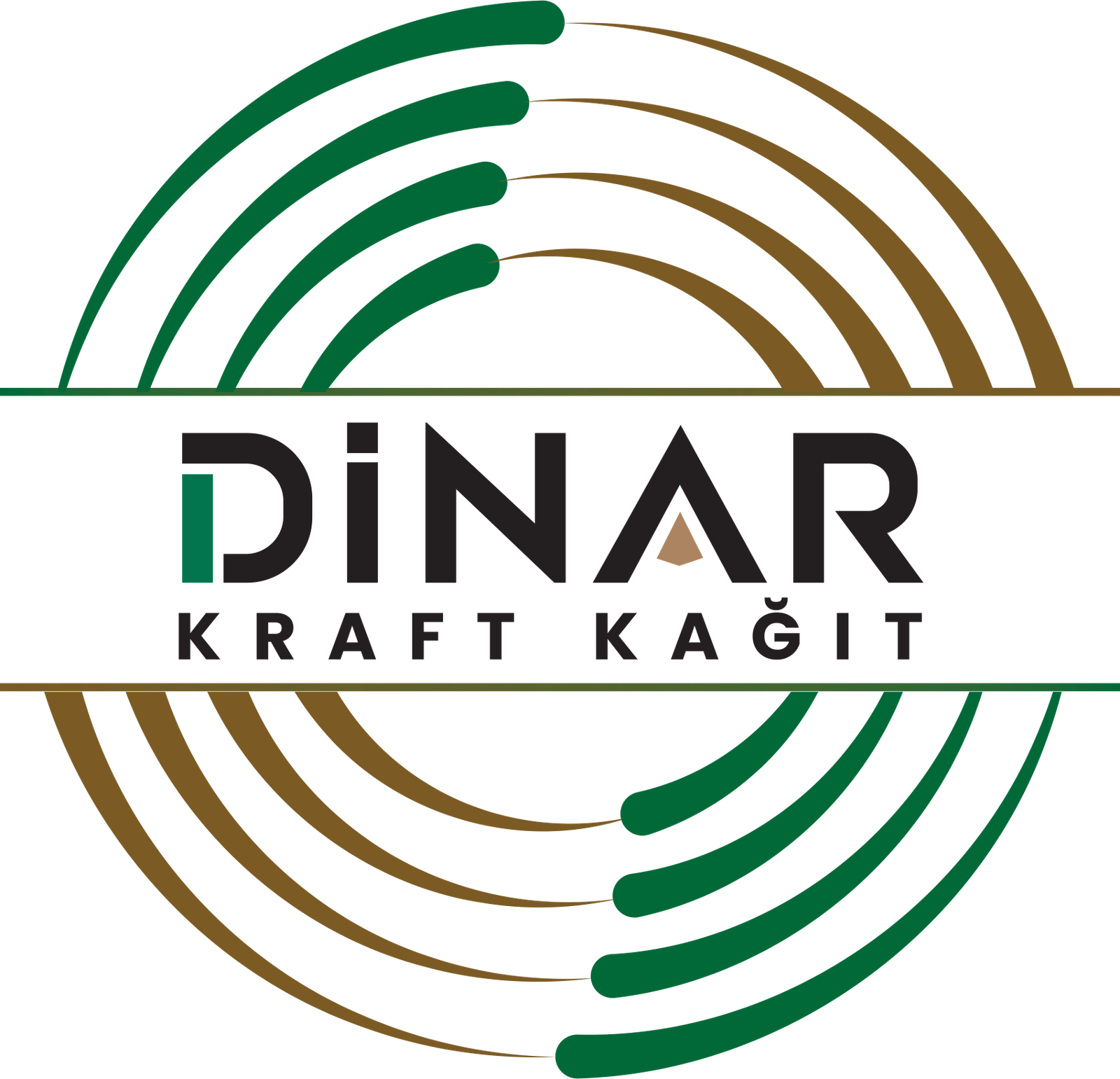 Dinar Kraft Kağıt Logo